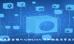 如何轻松将资金转入tpWallet：详细指南