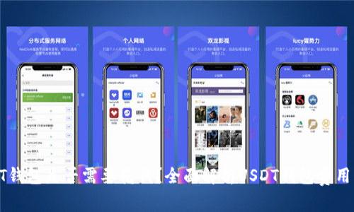 : USDT钱包是否需要花钱?全面解析USDT钱包费用与选择