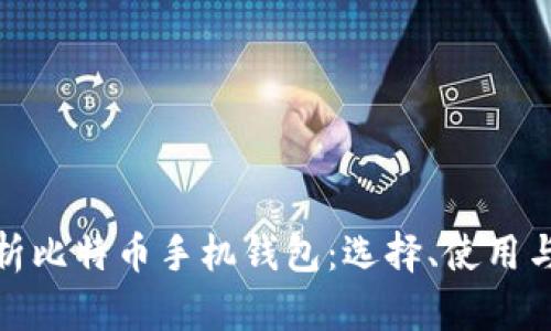 全面解析比特币手机钱包：选择、使用与安全性
