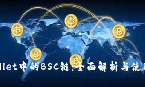 tpWallet中的BSC链:全面解析与使用指南