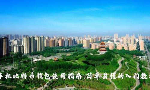 手机比特币钱包使用指南：简单易懂的入门教程