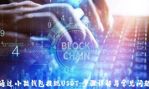 如何通过小猫钱包提现USDT:步骤详解与常见问题解答