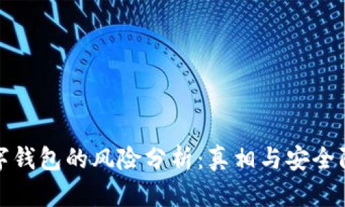 下载数字钱包的风险分析：真相与安全防范建议