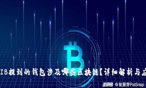 SHIB提到的钱包涉及哪些区块链?详细解析与应用