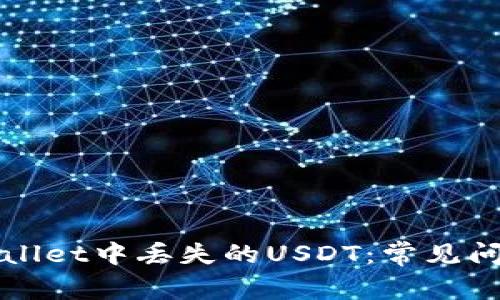 如何找回tpWallet中丢失的USDT:常见问题与解决方案