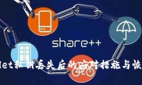 tpWallet私钥丢失后的应对措施与恢复指南
