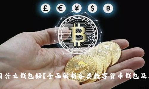 区块链用什么钱包好?全面解析各类数字货币钱包及其优缺点