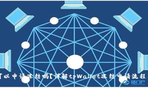 tpWallet可以申请冻结吗?详解tpWallet冻结申请流程与注意事项