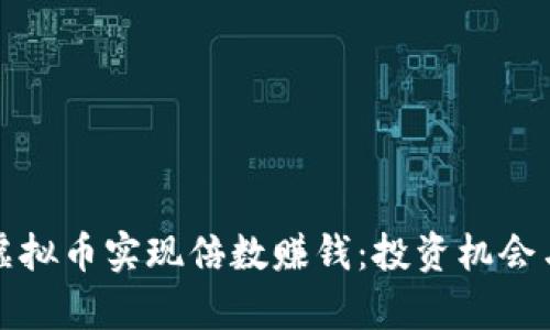 如何通过虚拟币实现倍数赚钱：投资机会与风险分析