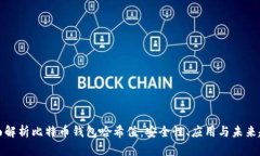 全面解析比特币钱包哈希值：安全性、