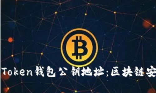 深入了解Token钱包公钥地址：区块链安全的基石