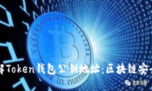 深入了解Token钱包公钥地址：区块链安全的基石