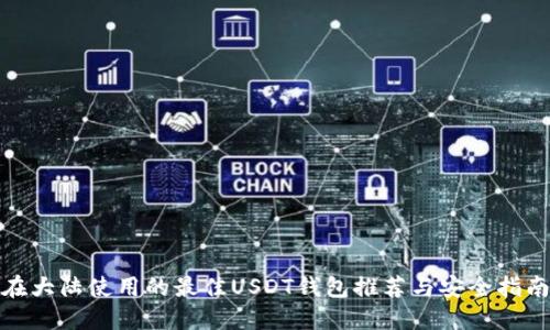 在大陆使用的最佳USDT钱包推荐与安全指南