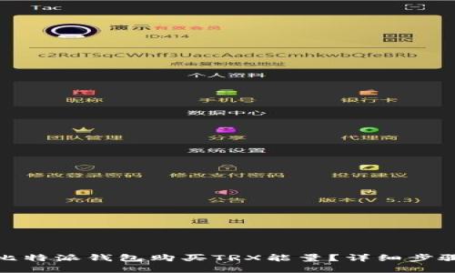 : 如何使用比特派钱包购买TRX能量？详细步骤与技巧解析