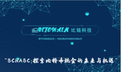 “BCHABC：探索比特币现金的未来与机遇