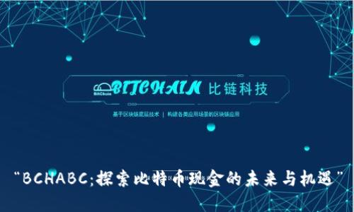 “BCHABC：探索比特币现金的未来与机遇”