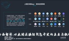 全面解析：以太坊区块链钱包开发的未