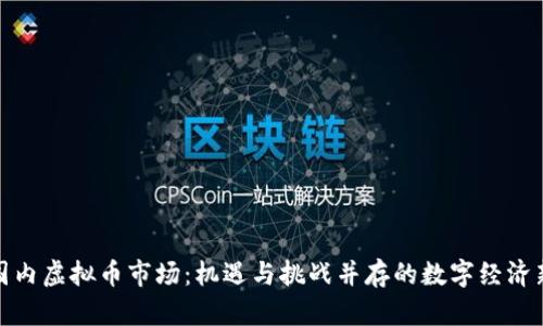 探索国内虚拟币市场：机遇与挑战并存的数字经济新领域