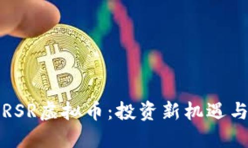 深入了解RSR虚拟币：投资新机遇与未来趋势