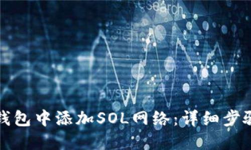 如何在小狐钱包中添加SOL网络：详细步骤与实用技巧