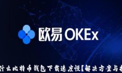 为什么比特币钱包下载速度慢？解决方