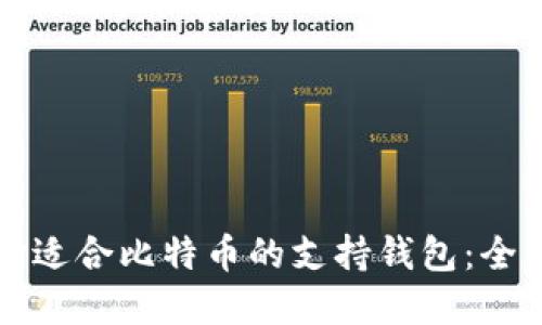 如何选择适合比特币的支持钱包：全方位指南