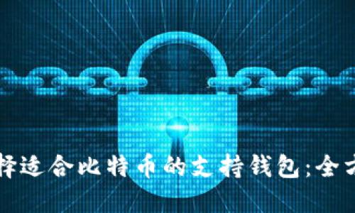 如何选择适合比特币的支持钱包：全方位指南