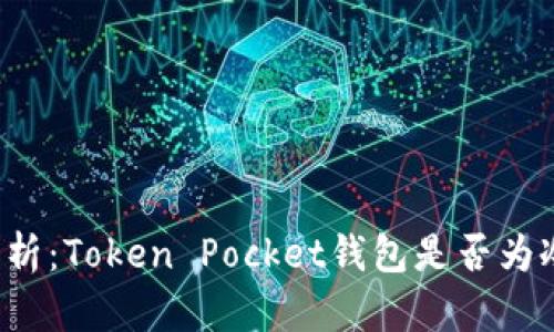 深入解析：Token Pocket钱包是否为冷钱包？