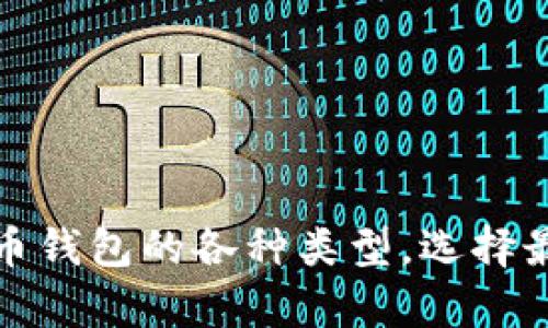 全面解析比特币钱包的各种类型，选择最适合你的钱包