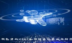 揭秘：钱包中的USDT如何被盗的真相与