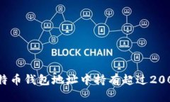 如何找到比特币钱包地址中持有超过