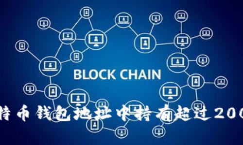 如何找到比特币钱包地址中持有超过200 BTC的账户