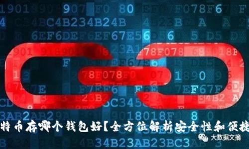 比特币存哪个钱包好？全方位解析安全性和便捷性