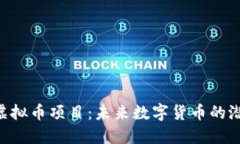 探索BSG虚拟币项目：未来数字货币的潜