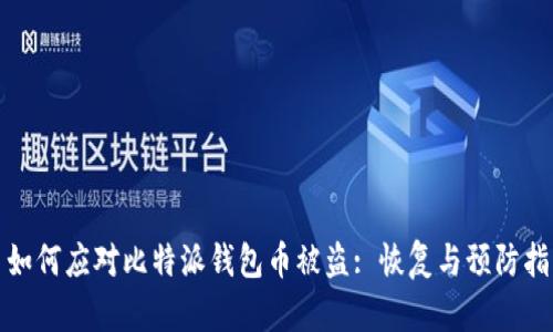 : 如何应对比特派钱包币被盗: 恢复与预防指南