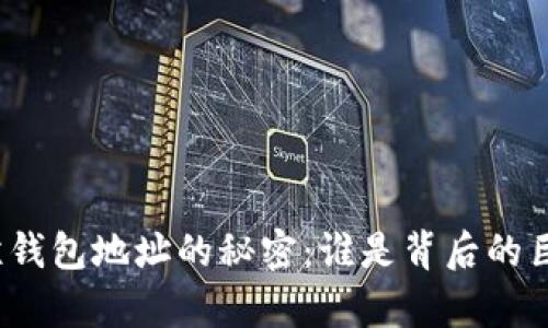 揭示比特币巨鲸钱包地址的秘密：谁是背后的巨额财富掌控者？