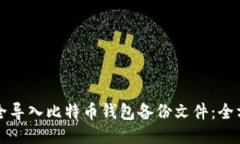 如何安全导入比特币钱包备份文件：全