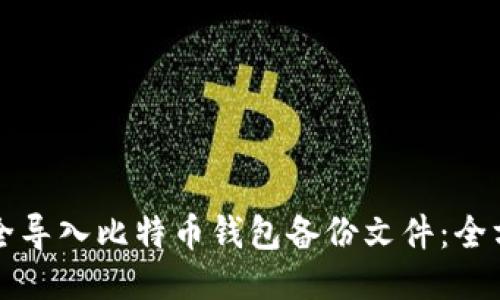 如何安全导入比特币钱包备份文件：全方位指南