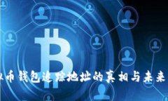 虚拟币钱包追踪地址的真相与未来发展
