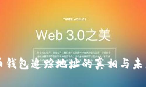 虚拟币钱包追踪地址的真相与未来发展