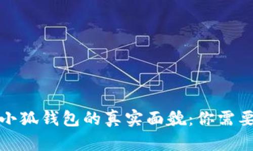 揭秘比特币小狐钱包的真实面貌：你需要知道的一切