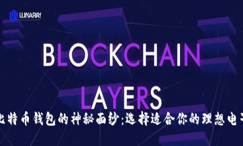 揭开比特币钱包的神秘面纱：选择适合你的理想电子钱包