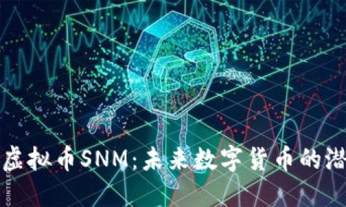 深入了解虚拟币SNM：未来数字货币的潜力与挑战