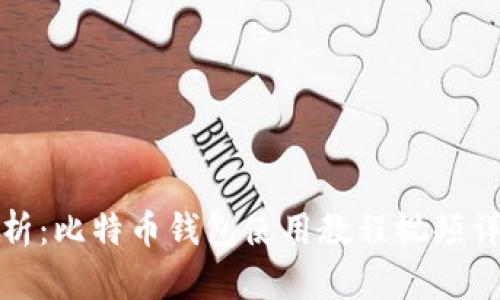 全面解析：比特币钱包使用教程视频详细讲解