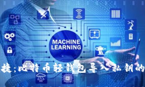 安全与便捷：比特币轻钱包导入私钥的完整指南