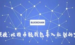 安全与便捷：比特币轻钱包导入私钥的完整指南