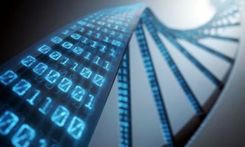 虚拟币与数字币的区别

在讨论lcc币的性质之前，我们首先需要明确“虚拟币”和“数字币”的定义。尽管这两个词汇在日常生活中常常被混用，但它们实际上有着不同的含义。

虚拟币的定义

虚拟币是指在某些虚拟环境中使用的代币，通常不具有真实世界的法定货币价值。这些币种常常存在于特定的电子商务平台、游戏或社区中，用户可以用于购买特定商品或服务。例如，某些在线游戏中的“金币”或“点券”就是虚拟币。虚拟币的获取方式通常包括完成任务、交换或购买。

数字币的定义

数字币则是可以在网络环境中进行交易和流通的货币类型。它通常具有一定的经济价值，并且有可能以法定货币来买卖。数字币包括比特币、以太坊等加密货币，它们可以在全球范围内进行自由交易和兑换。与虚拟币不同，数字币的背后往往有技术基础和市场支持，从而确保其价值。

lcc币是什么？

lcc币（Litecoin Cash）是一种加密货币，属于数字币的范畴。它是从莱特币（Litecoin）分叉而来的，旨在提供更快速和费用更低的交易体验。lcc币有其独特的算法和网络设计，使其在加密货币市场上具有一定的竞争力。

lcc币的特性

lcc币拥有以下几个主要特性，使其成为一种相对吸引的数字币：

ul
    li低手续费：相比于其他主流数字币，lcc币的交易费用相对较低，使其更适合小额交易。/li
    li快速确认：lcc币的区块时间较短，交易确认速度比许多其他加密货币更快。/li
    li社区支持：作为一种开源的数字货币，lcc币得到了活跃社区的支持和持续开发，为其生态系统的扩大提供了动力。/li
/ul

总结

综上所述，lcc币是属于数字币的范畴，而非单纯的虚拟币。它的特性使其在加密货币市场上占有一席之地，并且可以为用户提供便捷的交易体验。在决定是否投资或使用lcc币之前，了解其背后的技术及市场动态是非常重要的。

相关问题

1. lcc币的投资前景如何？
2. 怎样获取和使用lcc币？
3. lcc币的安全性如何？
4. 与其他数字币相比，lcc币的优势和劣势是什么？

将进一步详细解答这些问题。