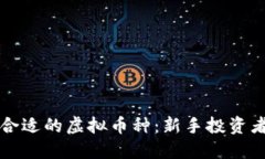 如何选择合适的虚拟币种：新手投资者