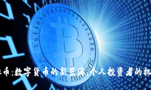 当涂虚拟币：数字货币的新蓝海，个人投资者的机遇与挑战