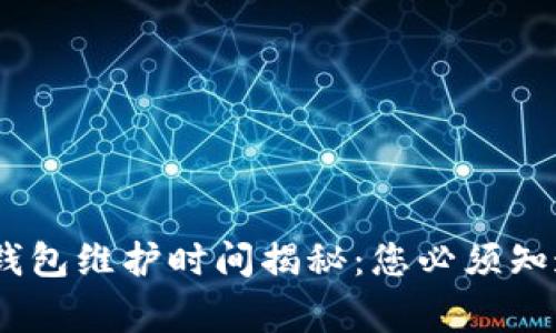 ### USDT钱包维护时间揭秘：您必须知道的注意事项